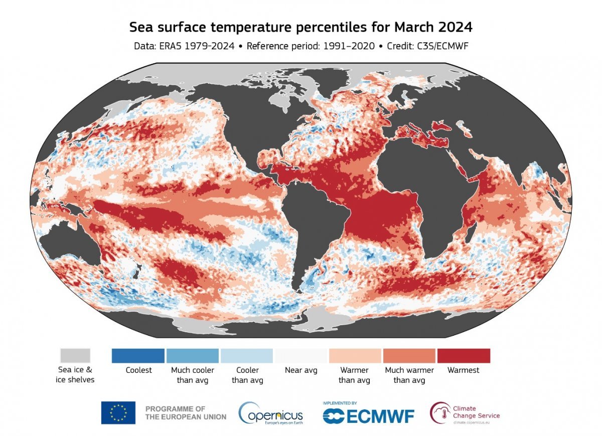 2024년 3월 해수면 온도 (코페르니쿠스 기후변화센터 제공) ⓒ 뉴스1