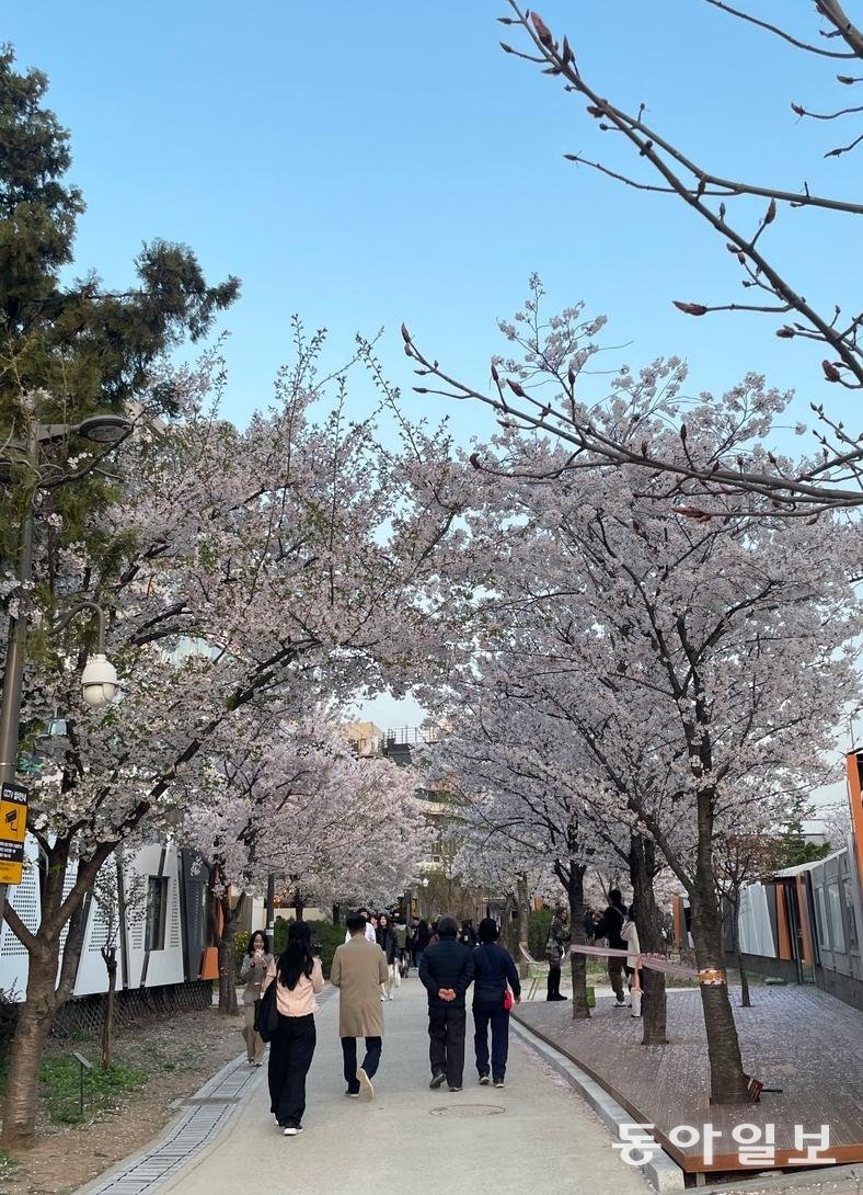 따뜻한 날씨에 거리는 삼삼오오 산책하는 사람들로 붐빈다. 사진은 주말 경의선 책거리에 벚꽃 구경을 나온 사람들의 모습. 홍은심 기자 hongeunsim@donga.com