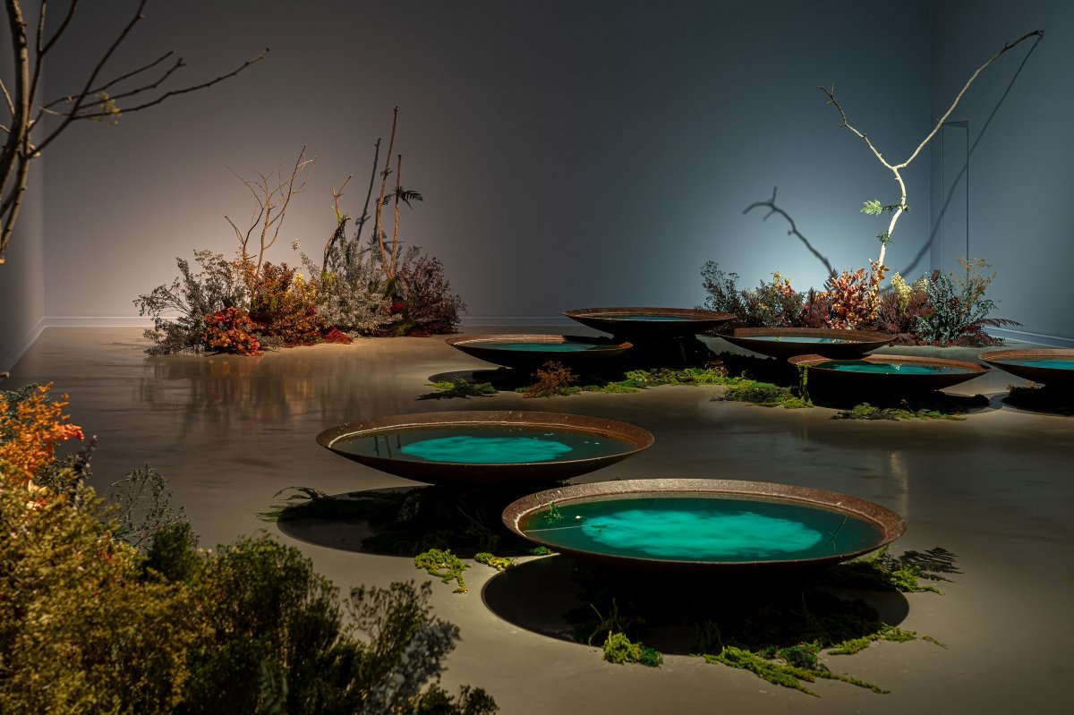 비앙카 본디, ‘별의 연못에서 점치다’(2024). 사진: 라 카사 엔센디다 - Ph. 마루 세라노 제공