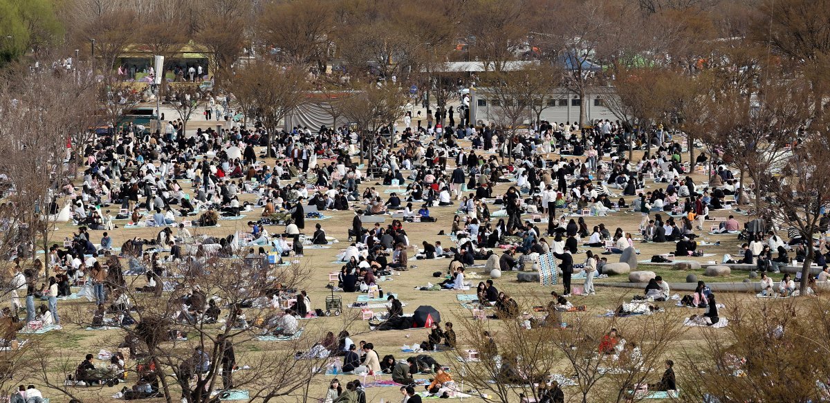 전국에 포근한 봄날씨가 이어진 31일 서울 여의도 한강시민공원이 나들이를 나온 시민들로 북적이고 있다. 2024.3.31/뉴스1