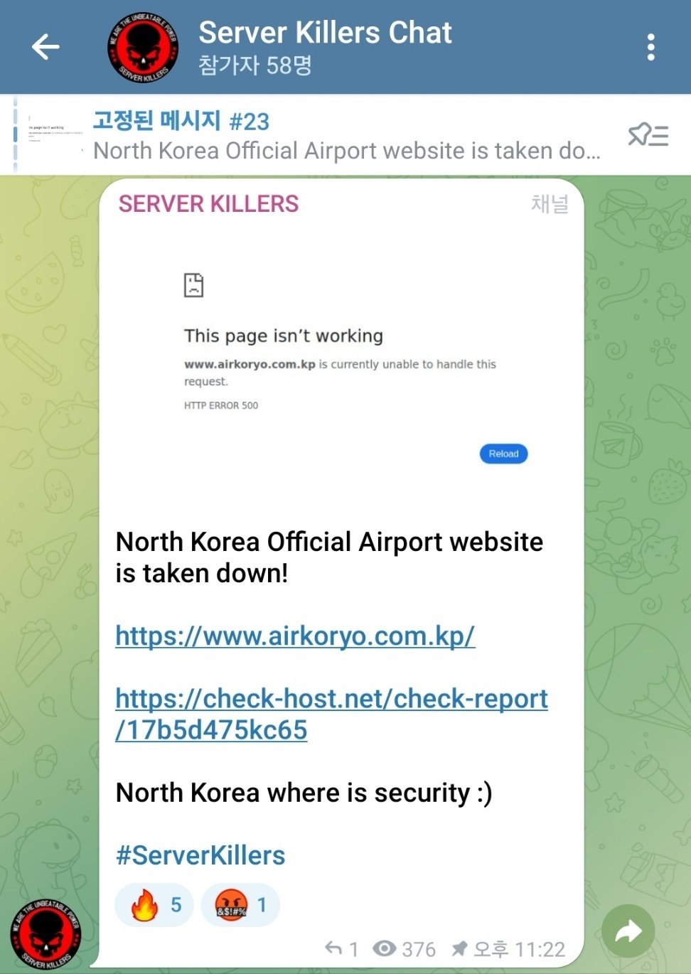 친(親) 러시아 성향 해킹조직 ‘서버 킬러즈’의 텔레그램 화면. 이들은 지난 9일 텔레그램을 통해 북한 고려항공 홈페이지를 디도스 공격을 가해 마비시켰다고 밝혔다.(서버 킬러즈 텔레그램 갈무리)