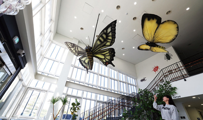 나비정원에 있는 대형 나비 모빌의 모습. 노원구 제공