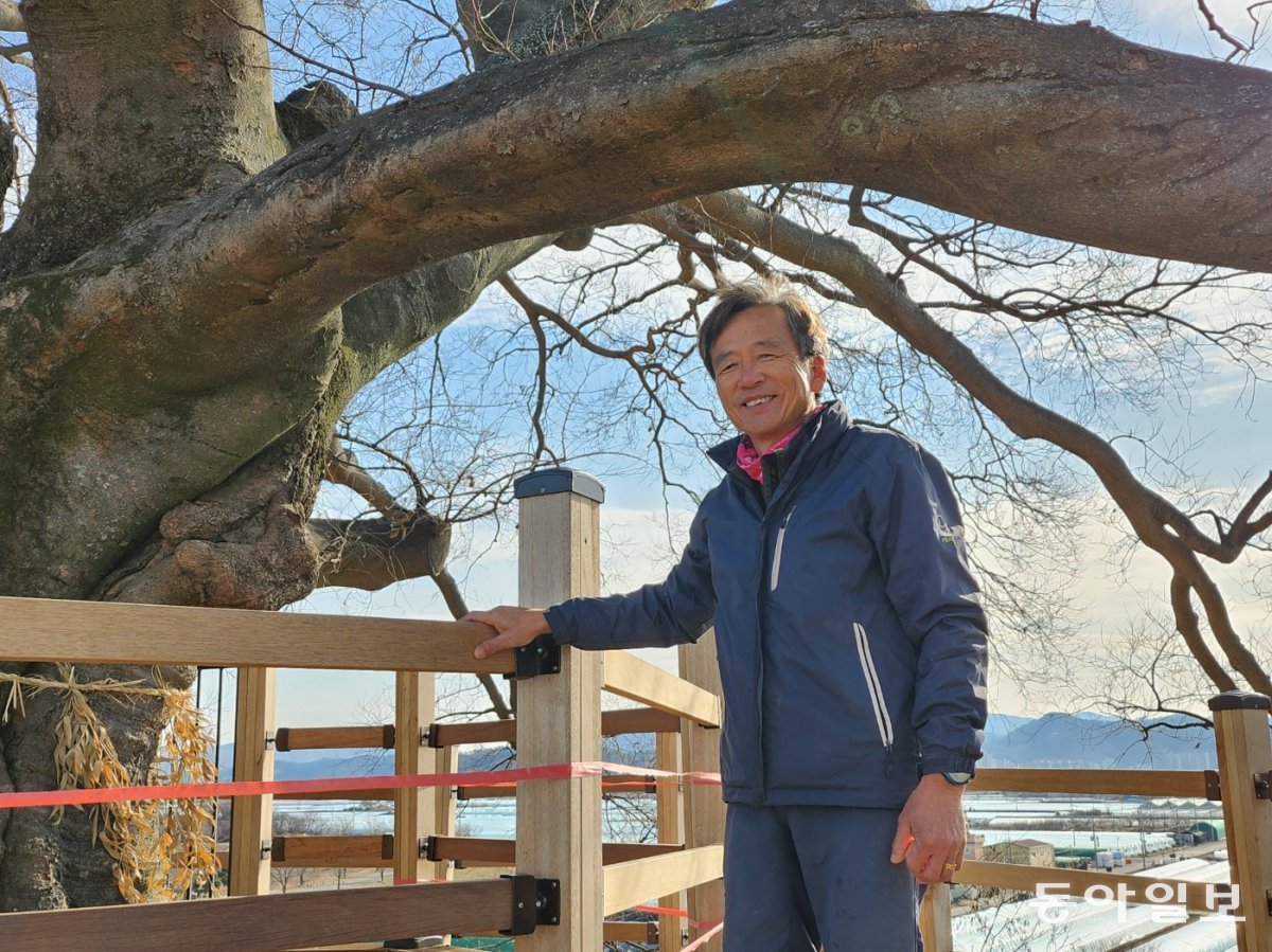 천연기념물 경남 ‘창원 북부리 팽나무’를 지키는 당산나무 할아버지 윤종환 씨가 나무 앞에서 미소를 지어 보이고 있다. 동아일보 DB