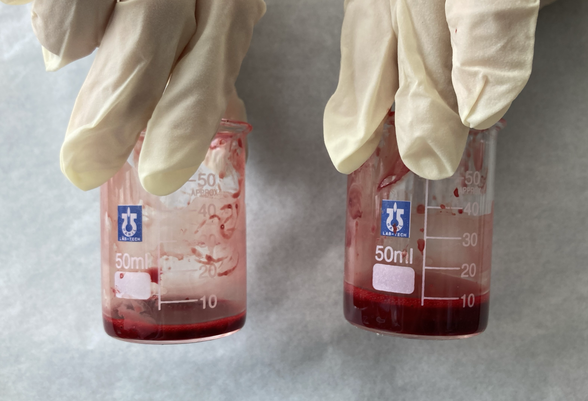 샘플 생리대에 동일한 양을 피를 분사한 뒤 흡수하지 못한 양을 비교한 모습. 이너시아 제공