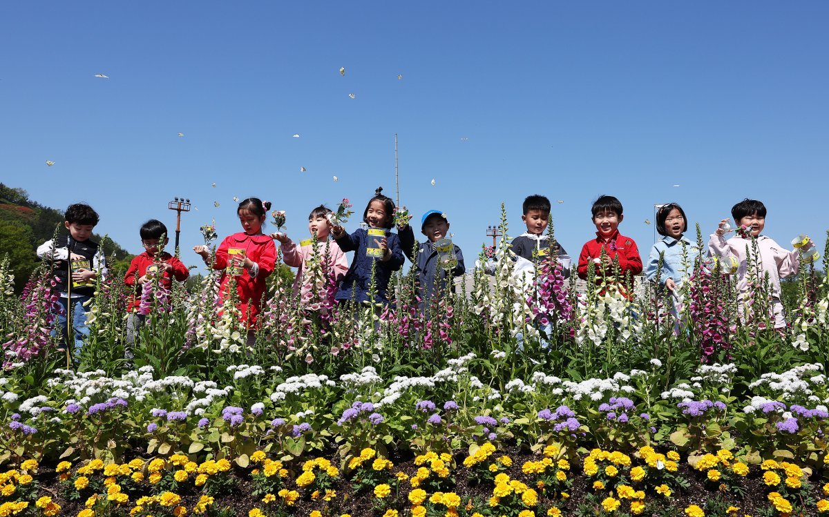 전남 함평나비축제장을 찾은 어린이들이 엑스포공원 중앙광장 일대에서 나비 날리기 체험을 하고 있다. 함평군 제공