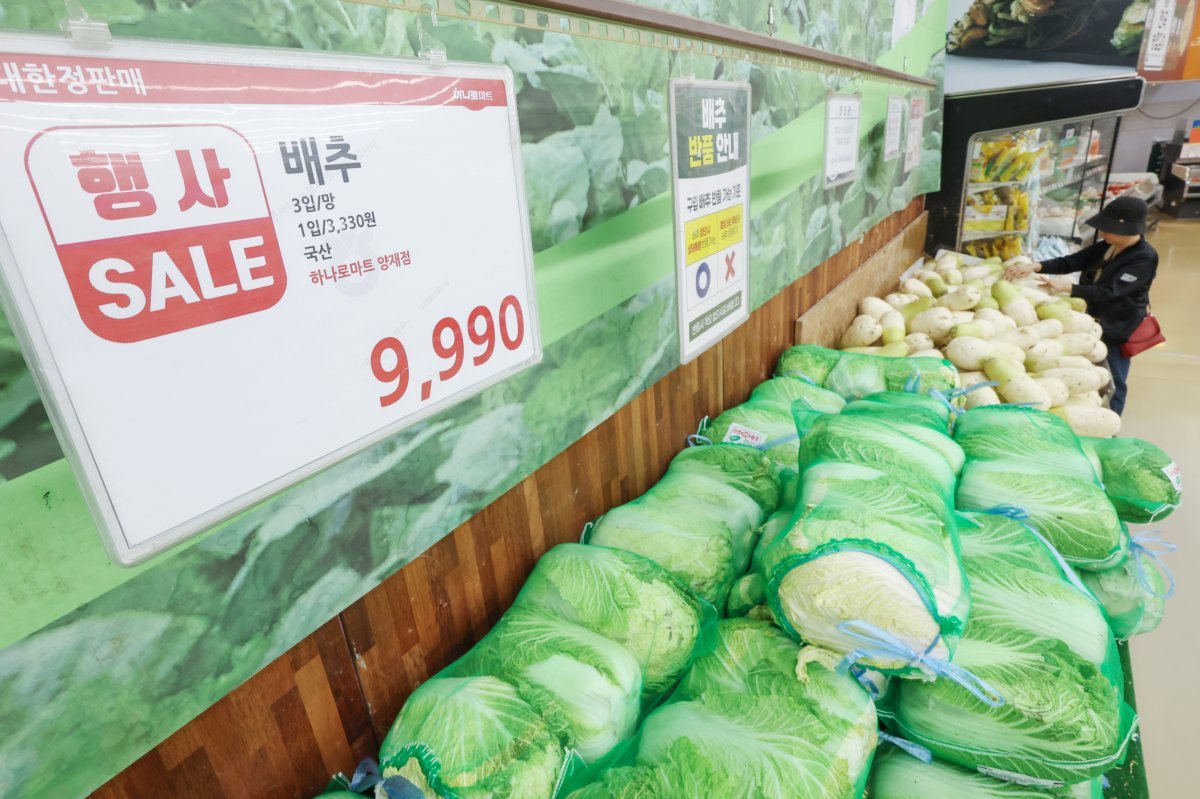 23일 서울의 한 대형마트에서 시민들이 배추 등 채소를 고르고 있다.  ⓒ News1
