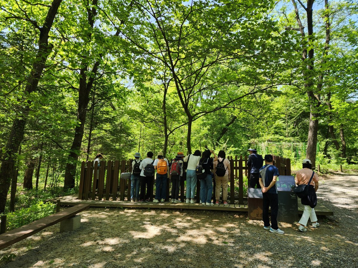 광릉요강꽃과 복주머니란을 보기 위해 몰려든 관람객들. 국립수목원 제공