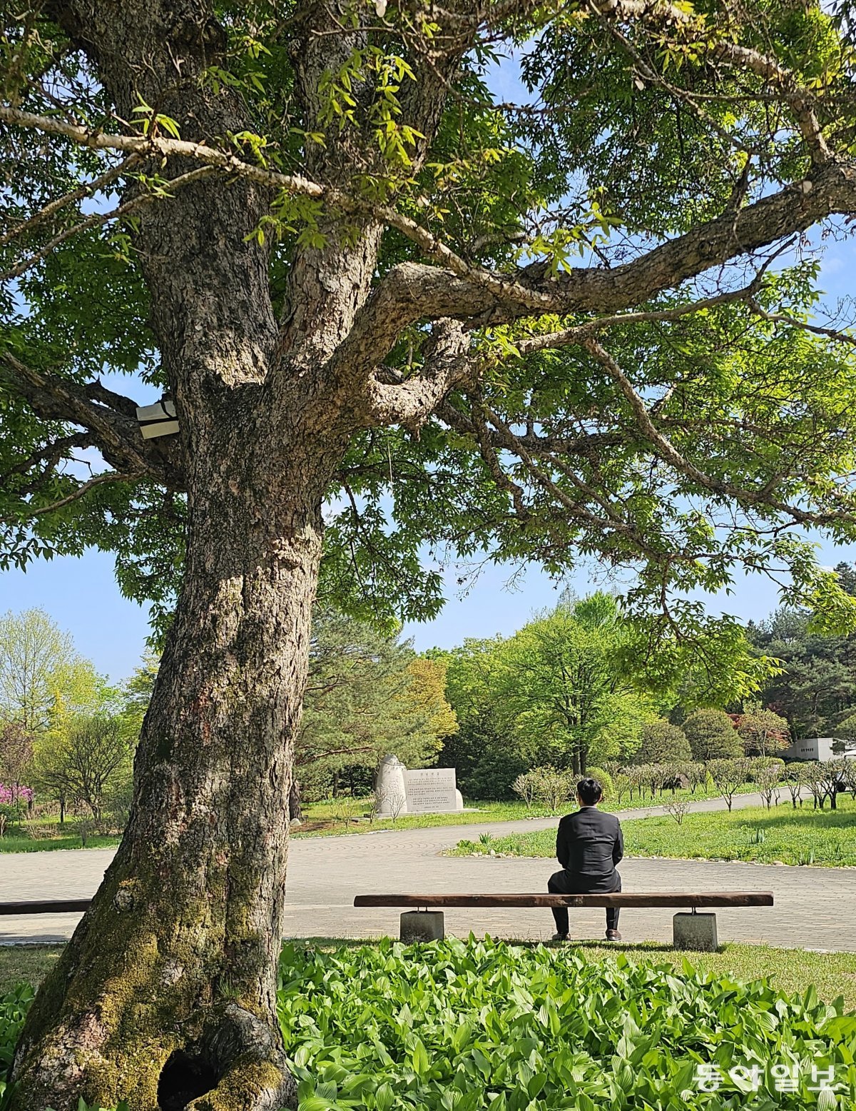 Lim Young-seok, Director of the National Arboretum, is sitting on a bench in front of the Forest Museum and looking at the Forest Charter erected in the Ornamental Tree Garden.  Pocheon = Reporter Kim Seon-mi
