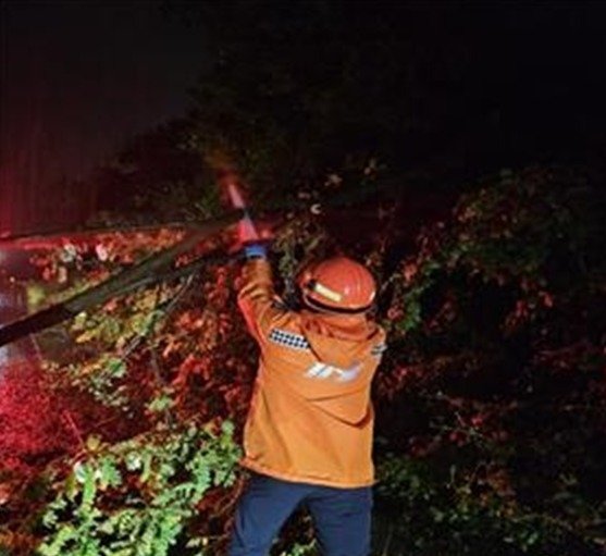 5일 오후 9시 22분쯤 부산 기장군 일광읍 한 도로에서 큰 나무가 쓰러지고 토사가 흘려내려 도로 교통에 장애가 발생했다.(부산소방재난본부 제공)