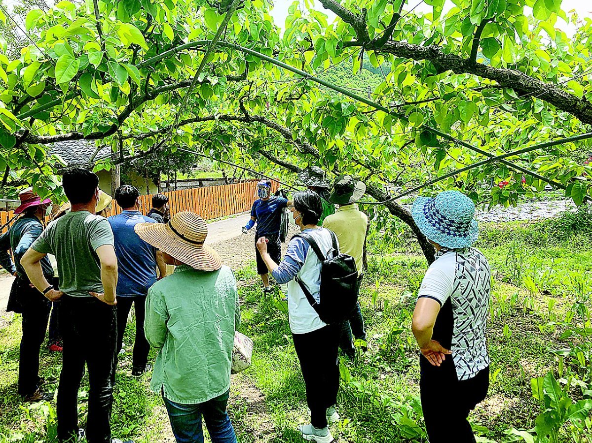 기사와 직접적 관련 없는 참고사진. 동아 DB