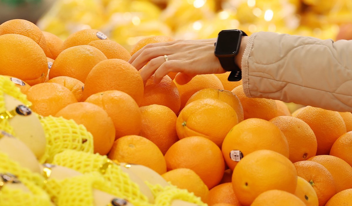 서울 시내 한 마트에서 한 시민이 오렌지를 구매하고 있다. 2024.3.24 뉴스1