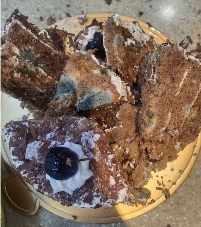 A 씨 측이 구매한 케이크에 곰팡이가 핀 모습. 자영업자 온라인 커뮤니티 ‘아프니까 사장이다’ 캡처