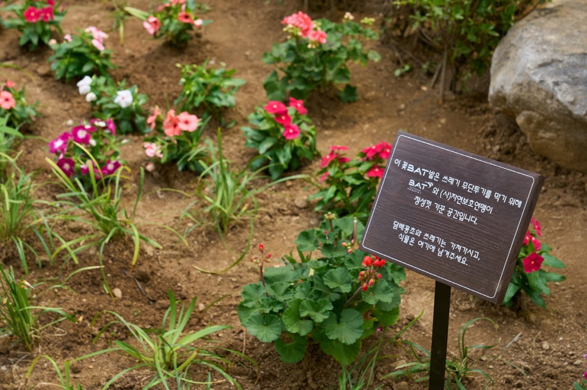 지난 9일, BAT로스만스 임직원들이 서울 중구의 골목길에 ‘꽃밭(꽃BAT)’을 조성했다.