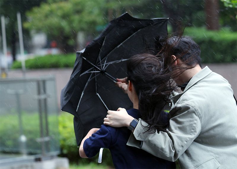5월에 강풍 날벼락 같은 날 오후 서울 종로구에서 시민이 든 우산이 비바람에 휘어지고 있다. 전문가들은 지난해 발생한 엘니뇨가 여전히 세계 곳곳에서 
이상기후를 발생시키고 있다며 한반도에도 올여름 폭염과 집중호우가 번갈아 찾아올 수 있다고 예상했다. 뉴스1