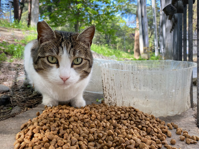 기사와 무관한 자료사진 (게티이미지)