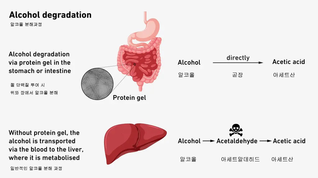 Explanation of the concept of protein gel action provided by ETH Zurich.