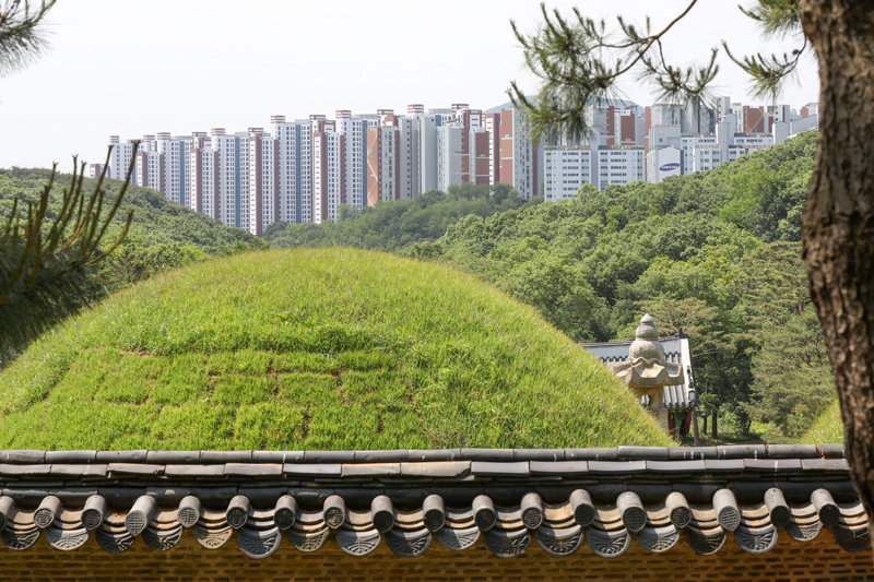 유네스코 세계문화유산인 경기 김포시 장릉과 인근에 세워진 고층 아파트. 이 아파트는 역사문화환경 보존지역 500m 이내에 지어져 문화재청이 공사 중지 명령을 내리는 등 논란을 빚었다. 뉴스1