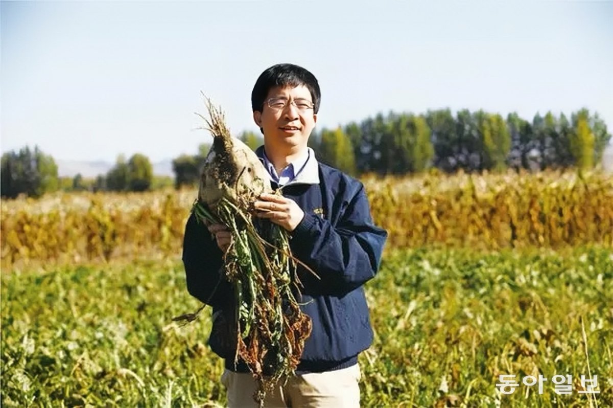 중국 북부 내몽골자치구의 알칼리성 토지 개량지에서 수확한 무를 들고 있는 후수원 교수. [자료 제공=CMG]