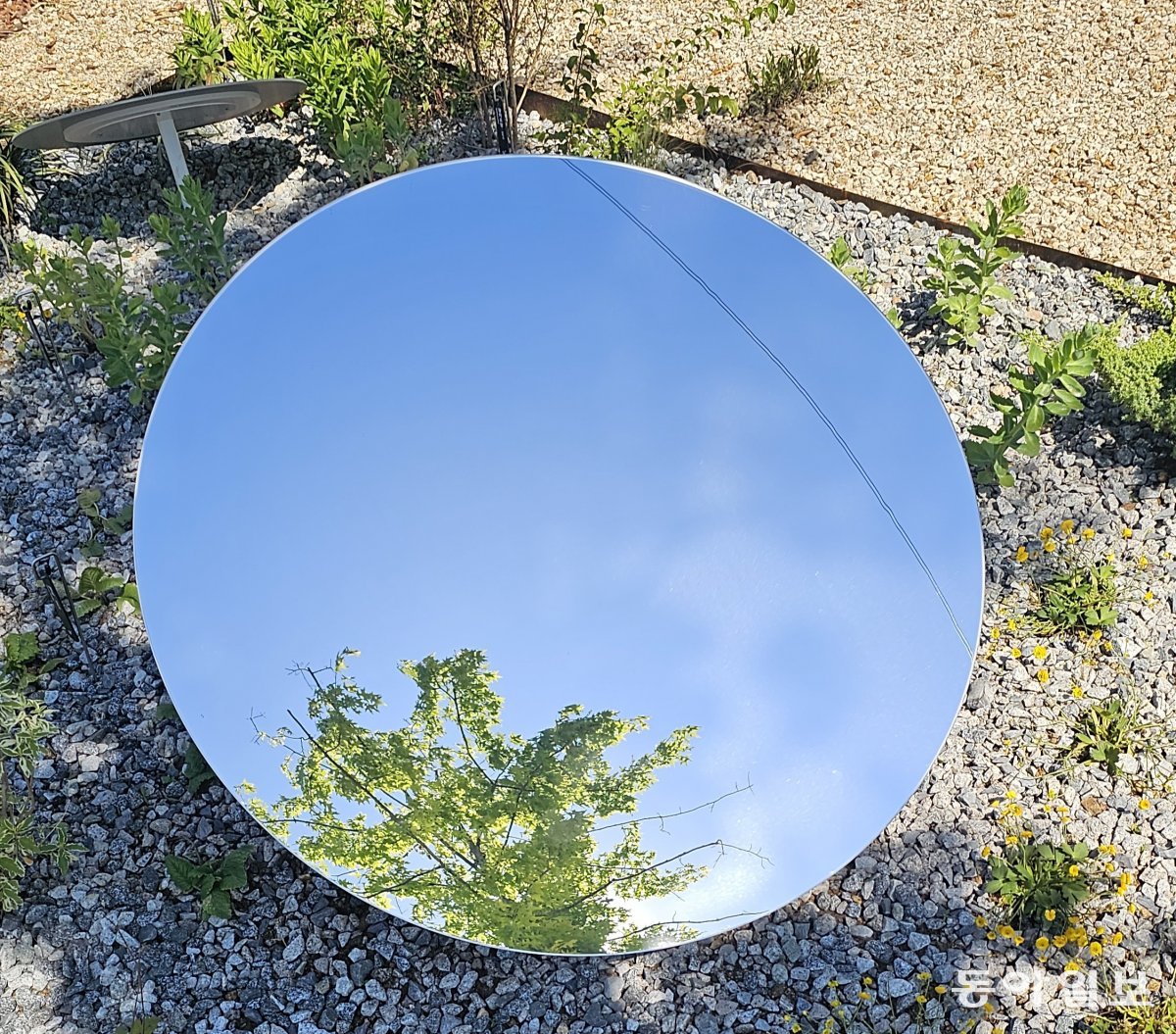 정원에 둔 동그란 거울을 통해 나무를 보는 경험은 행복감을 준다. 김선미 기자 kimsunmi@donga.com