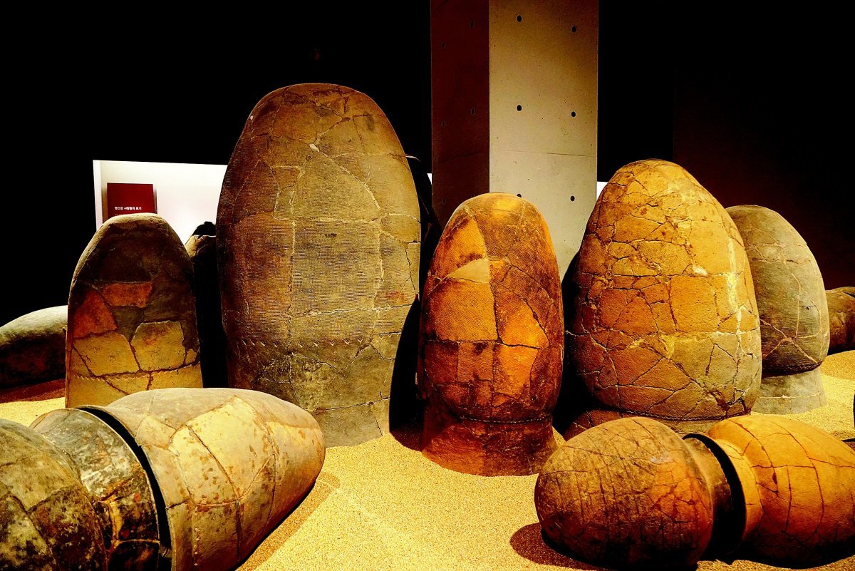 마한 유적지에서 발견된 옹관들. 기원전 2세기∼기원후 6세기 충청·전라 지역에 걸쳐 있던 마한은 독특한 독무덤 문화를 형성했다. 길이 2m가 넘는 수백 kg의 대형 항아리를 만들어 시신과 각종 보석 및 유품을 넣기도 했다. 사진 출처 국립나주박물관