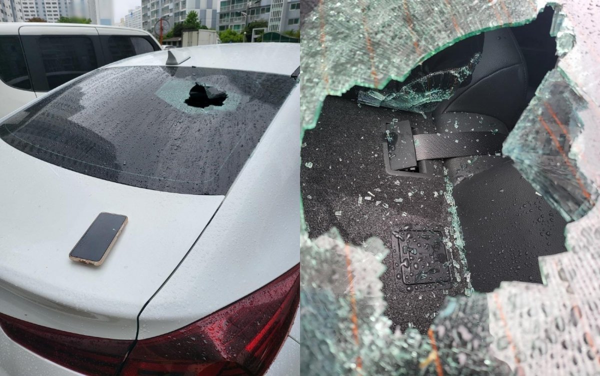 (보배드림 갈무리)