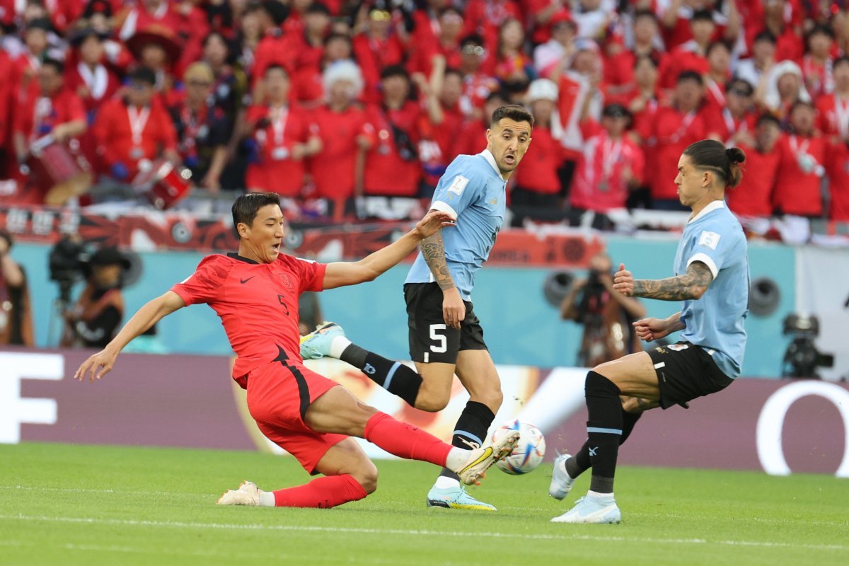 파울루 벤투 감독이 이끄는 대한민국 축구대표팀 정우영이 24일 오후(현지시간) 카타르 알라이얀 에듀케이션 시티 스타디움에서 열린 2022 카타르 월드컵 조별리그 H조 1차전 우루과이와의 경기에 상대 선수와 치열한 볼다툼을 벌이고 있다. 2022.11.24. 뉴스1