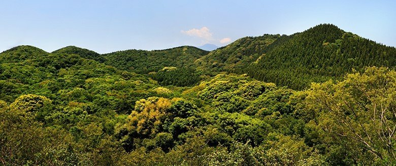 제주 거문오름 전경. 제주도 제공