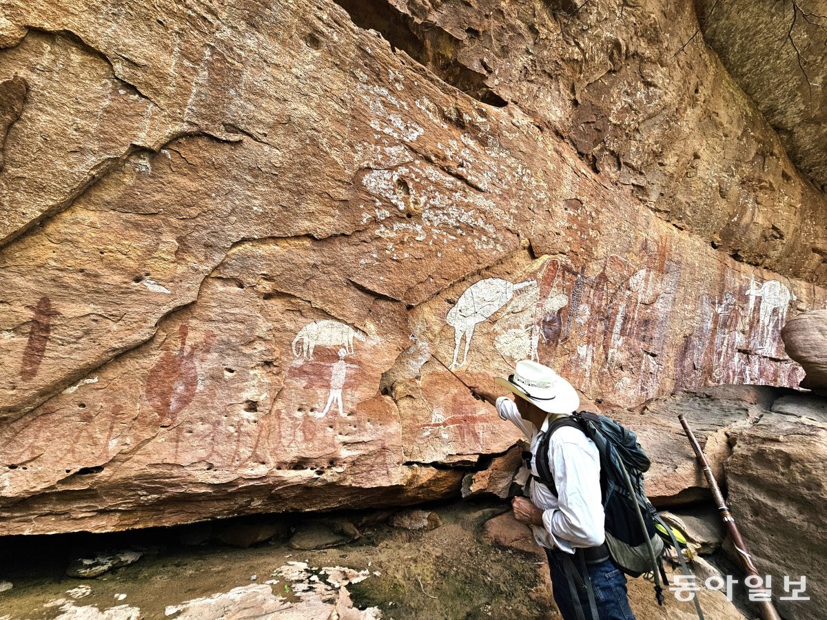 호주 퀸즐랜드주 케이프요크반도 로라 고원지대의 붉은 사암벽에 원주민들이 약 2만 년 전부터 1200년 전까지 그린 암벽화를 원주민 후손 가이드가 설명하고 있다.