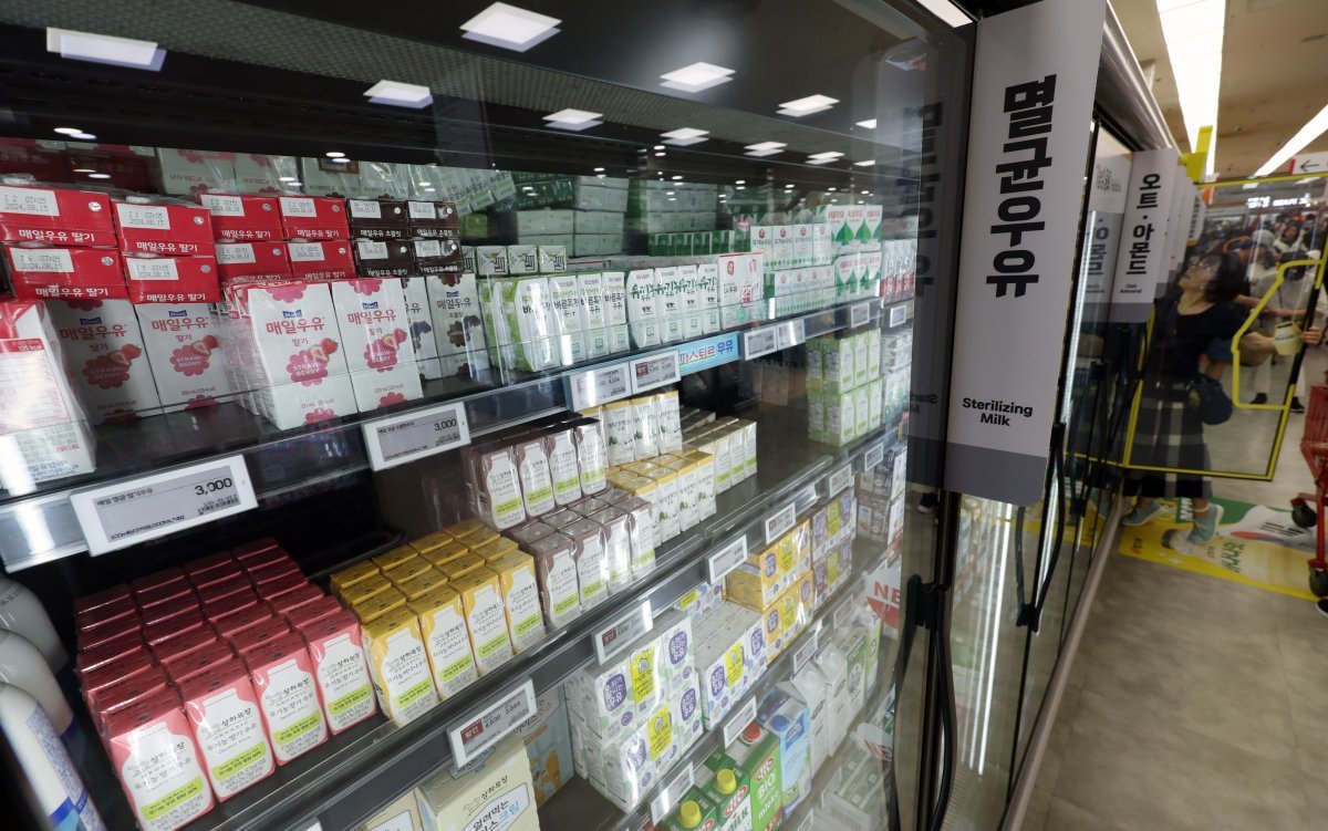 국산 우유보다 상대적으로 저렴한 외국산 우유를 찾는 소비자들이 늘어나고 있다.  사진은

10일 오전 서울시내 한 대형마트에 멸균우유가 진열돼 있다. 2024.06.10 [서울=뉴시스]