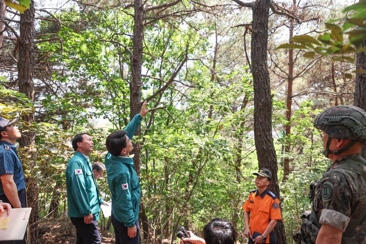 강원 춘천 산불 현장 찾은 김진태 강원도지사.(강원도 제공)