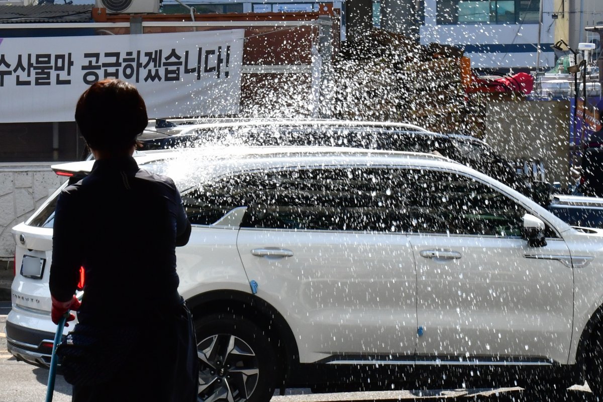 12일 오전 경북 포항시 죽도 어시장에서 한 상인이 도로에 물을 뿌리고 있다. 기상청은 이날 포항과 경주지역의 낮 최고기온이 34~35도까지 올라갈 것으로 예보했다. 2024.6.12/뉴스1