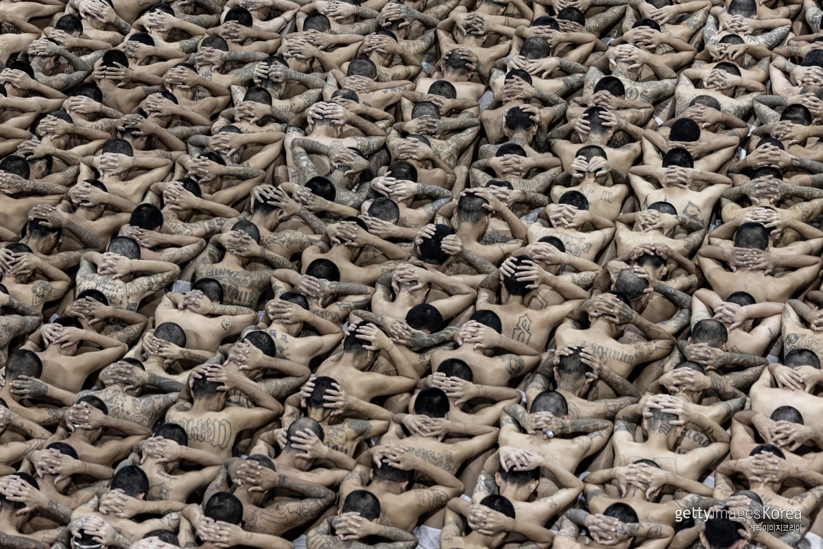11일(현지시간) 웃옷을 벗은 수감자들이 머리에 손깍지를 낀 채 테러범수용센터 바닥에 빼곡히 앉은 모습. (엘살바도르 대통령실 제공) ⓒ(GettyImages)/코리아