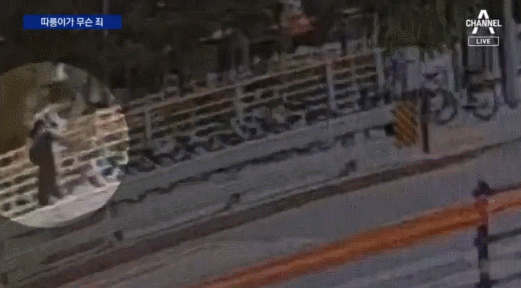 지난 9일 서울 성북구에서 한 남성이 따릉이 대여소에 놓인 자전거를 다리 아래로 내던지는 모습. 채널A