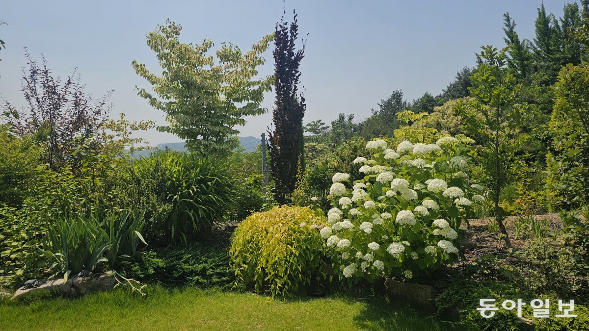 도담 브라이트 가든 전경. 집 앞마당 화단에 다양한 교목과 관목이 자리잡고 있다. 천안=김선미 기자 kimsunmi@donga.com