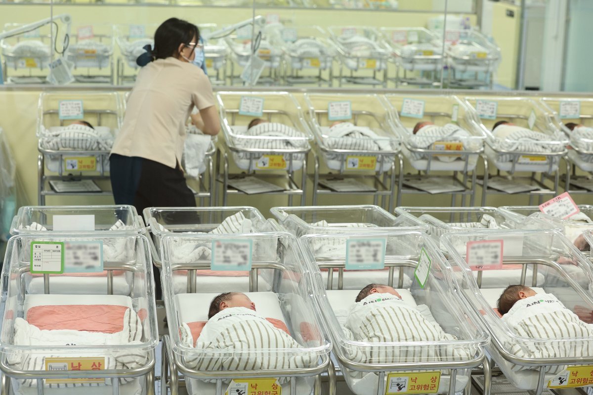 저출생 문제가 심각해 정부가 대책에 고심인 가운데 19일 인천 미추홀구 아인병원에 마련된 신생아실에서 신생아들이 휴식을 취하고 있다. 2024.6.19 (인천=뉴스1)