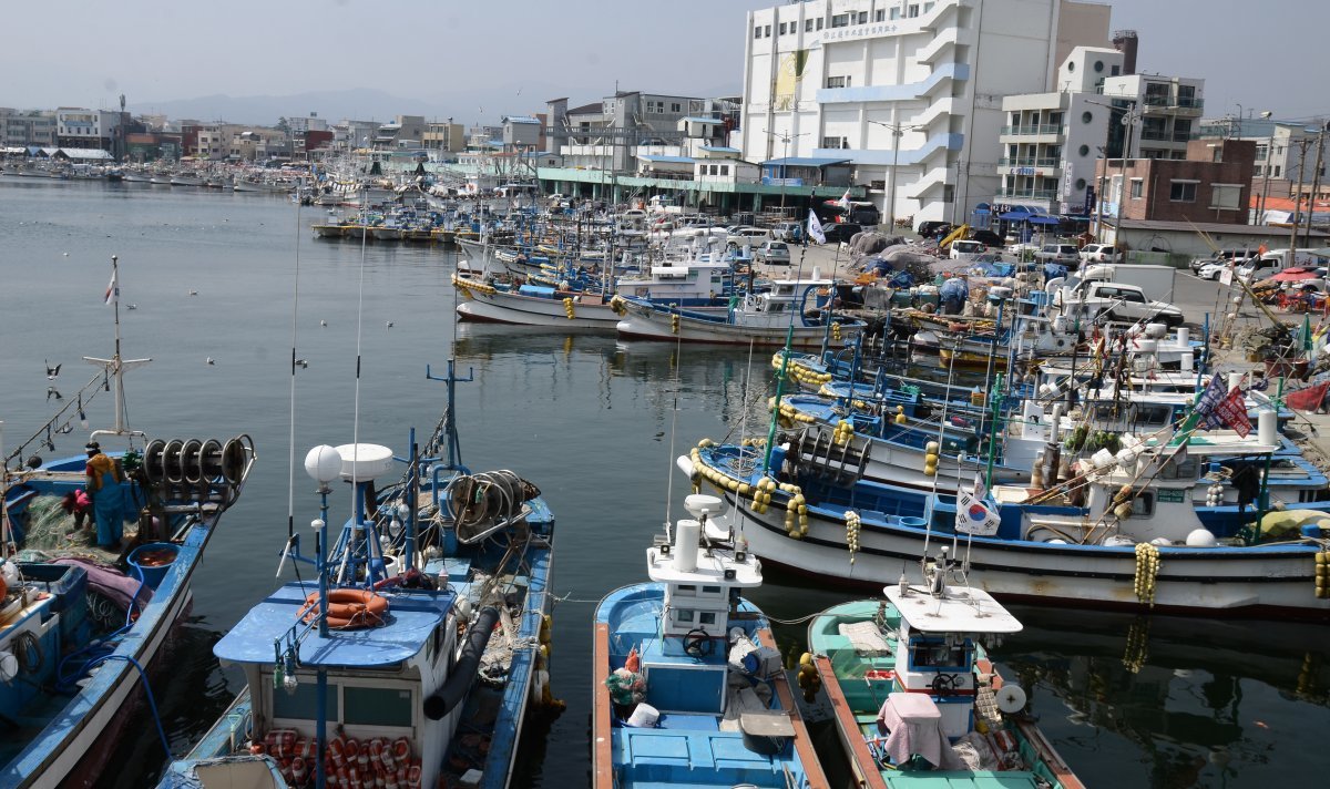 1일 북한이 송출한 것으로 추정되는 GPS(위성 위치 정보 시스템)방해 신호로 출항하지 못하거나 조기 입항한 어선들이 주문진 항구에 정박해 있다. ⓒ News1