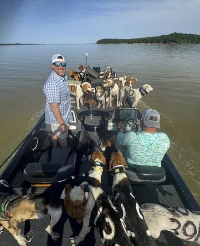 미국 미시시피주 그레나다 호수에서 낚시꾼들이 구조한 사냥개들. @viztadaily X(트위터) 캡처
