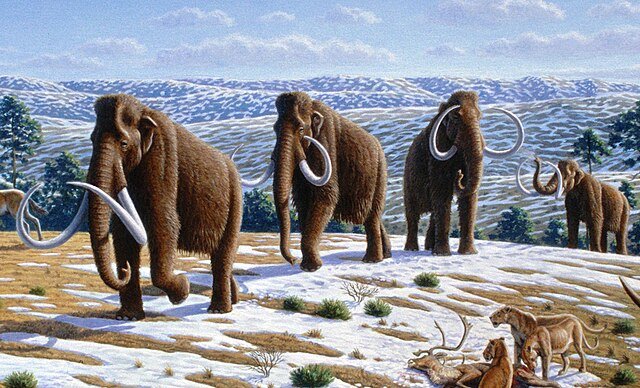 1만∼4만 년 전 서식했던 대형 포유류 매머드의 상상도. 사진 출처 위키미디어