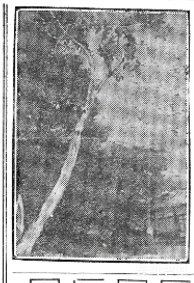 1924년 7월 1일자 동아일보 3면에 실린 서울 재동 백송 사진.