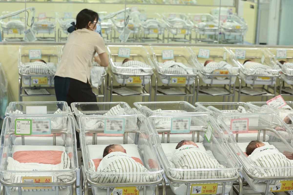 저출생 문제가 심각해 정부가 대책에 고심인 가운데 인천 미추홀구 아인병원에 마련된 신생아실에서 신생아들이 휴식을 취하고 있다. /뉴스1