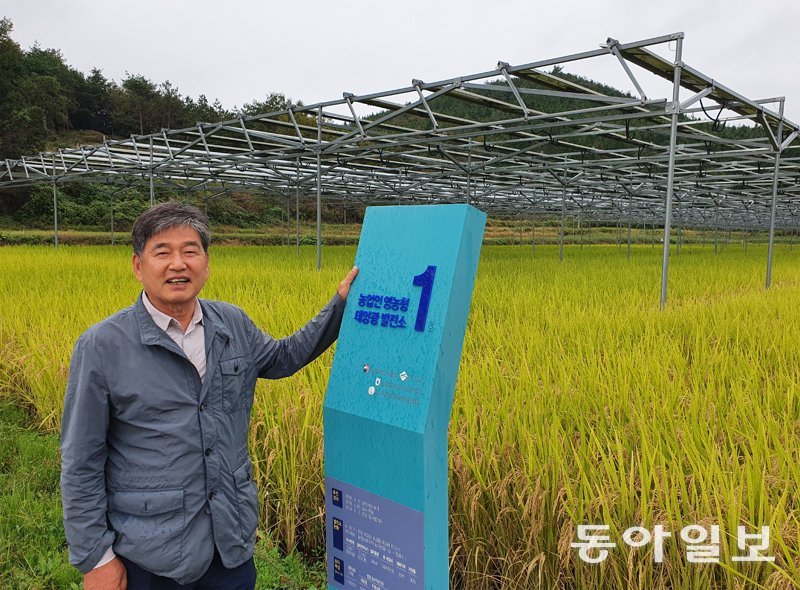 문병완 전남 보성농협 조합장이 보성군 보성읍 옥암리 자신의 논에서 논농사와 햇볕 농사를 함께 짓는 영농형 태양광 발전소를 보여 주고 있다. 정승호 기자 shjung@donga.com