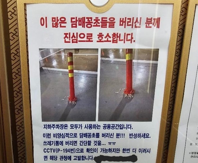 (보배드림 갈무리)