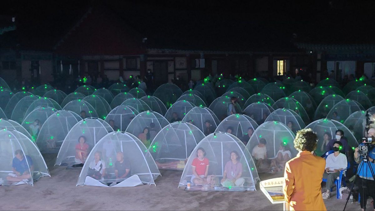 지리산 화엄사 화엄원 마당에서 열린 ‘3회 화엄사 모기장 영화음악회’에서 참가자들이 한여름 밤 산사에서 영화 음악을 감상하고 있다. 화엄사 사진제공