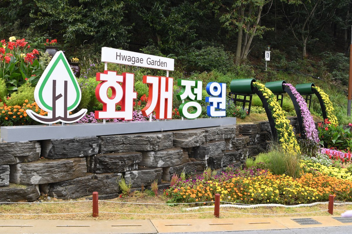 지난해 4월 인천 강화군 교동도에 문을 연 화개정원. 인천 강화군 제공