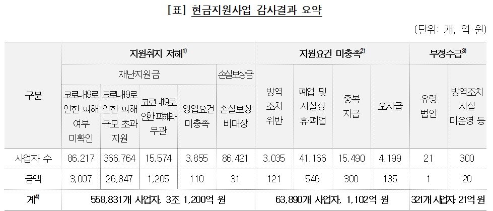 (감사원 제공)