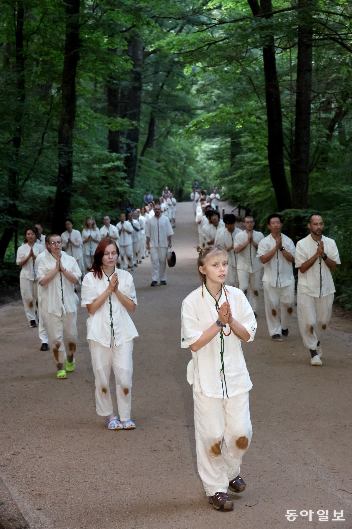 On the 25th, around 70 global youths from 25 countries around the world gathered at the fir forest path of Woljeongsa Temple in Odaesan Mountain, Pyeongchang-gun, Gangwon-do, together with the Munsu Youth Association (Chairman Haegong Seunim) and the Woodenfish Foundation of the United States (Chairman Yifa Seunim), and are performing the Sambo Ilbae to celebrate the opening of the Paris Olympics and pray for world peace. This event was held on the 1st, ahead of the graduation ceremony of the '2024 Woljeongsa-Woodenfish Global Meditation Training Program (Woodenfish Monastic Life Program with Woljeongsa)', attended by around 70 people from 25 countries around the world. Pyeongchang=Reporter Jeon Young-han scoopjyh@donga.com