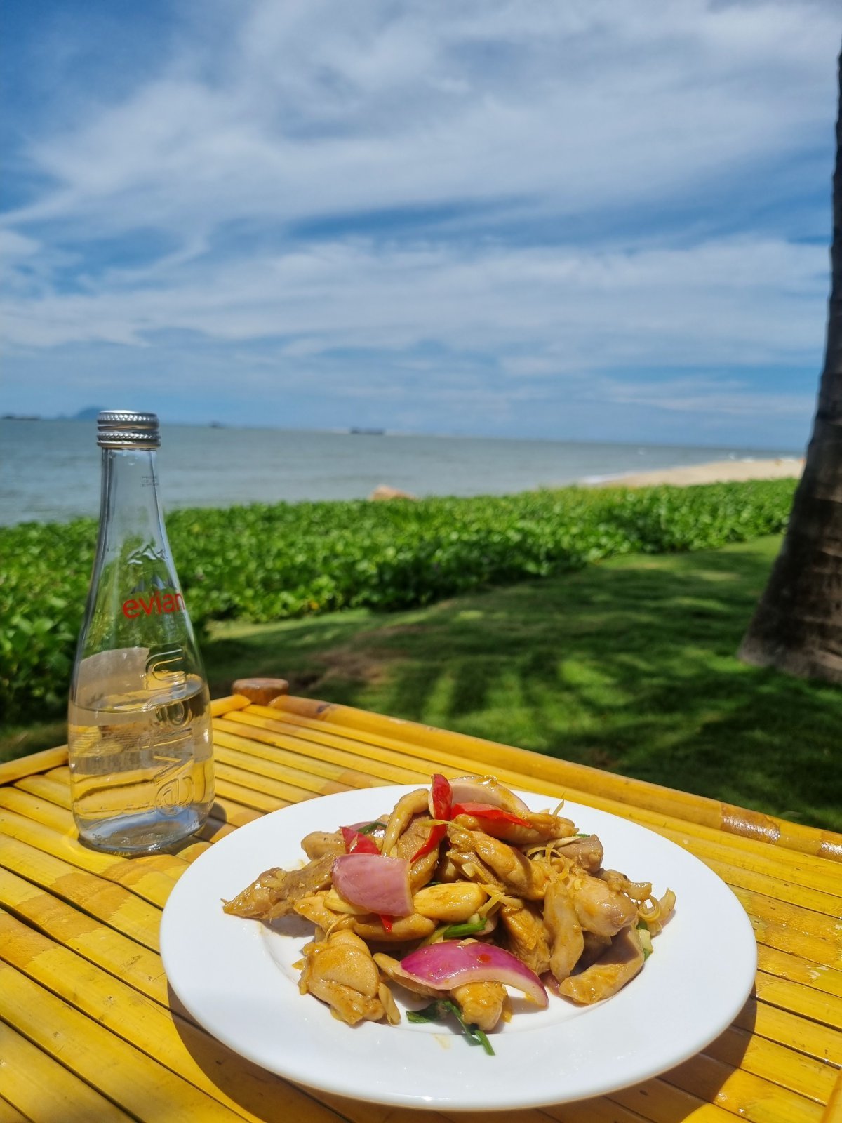 Stir-fried chicken with lemongrass and chili peppers. Hoi An = Reporter Choi Hyun-jung, Donga.com phoebe@donga.com