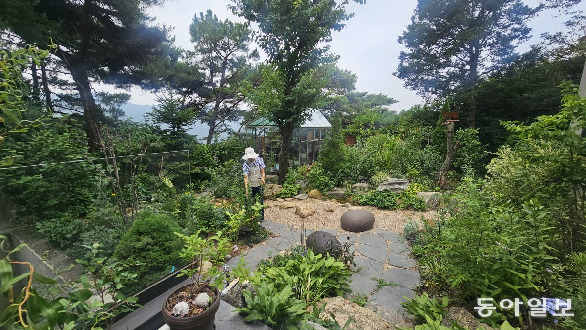 박 대표는 “언제 봐도 질리지 않으면서 계절감을 충분히 느낄 수 있는 정원을 가꾸고 싶다”고 한다. 김선미 기자 kimsunmi@donga.com