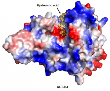 ALT-B4, a SC formulation conversion agent based on Alteogen hyaluronidase