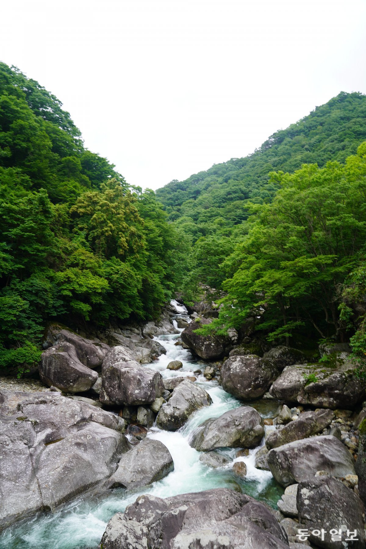 전북 남원에 있는 지리산 뱀사골에서 와운마을로 올라가는 계곡길. 시원한 물소리를 들으며 걷는 신선길이다.